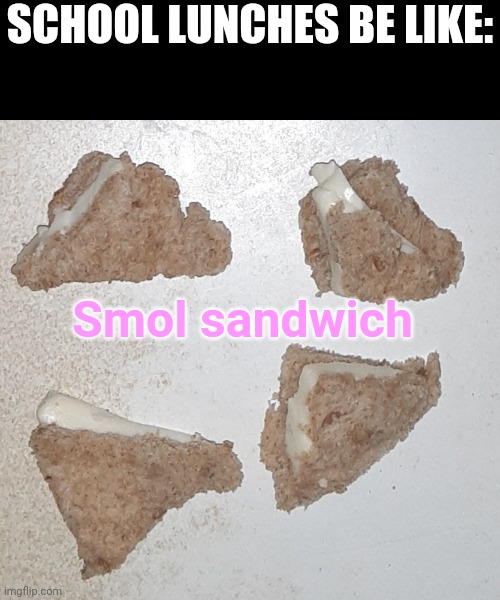 . | SCHOOL LUNCHES BE LIKE:; Smol sandwich | image tagged in school,school memes,school lunch,memes,funny | made w/ Imgflip meme maker
