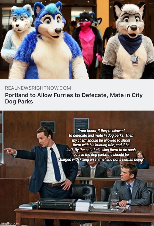 "Your honor, if they’re allowed to defecate and mate in dog parks. Then my client should be allowed to shoot them with his hunting rifle, and if he isn't. By the act of allowing them to do such acts in the dog parks, he should be charged with killing an animal and not a human being" | image tagged in lawyer,im so gonna get canceled for this | made w/ Imgflip meme maker