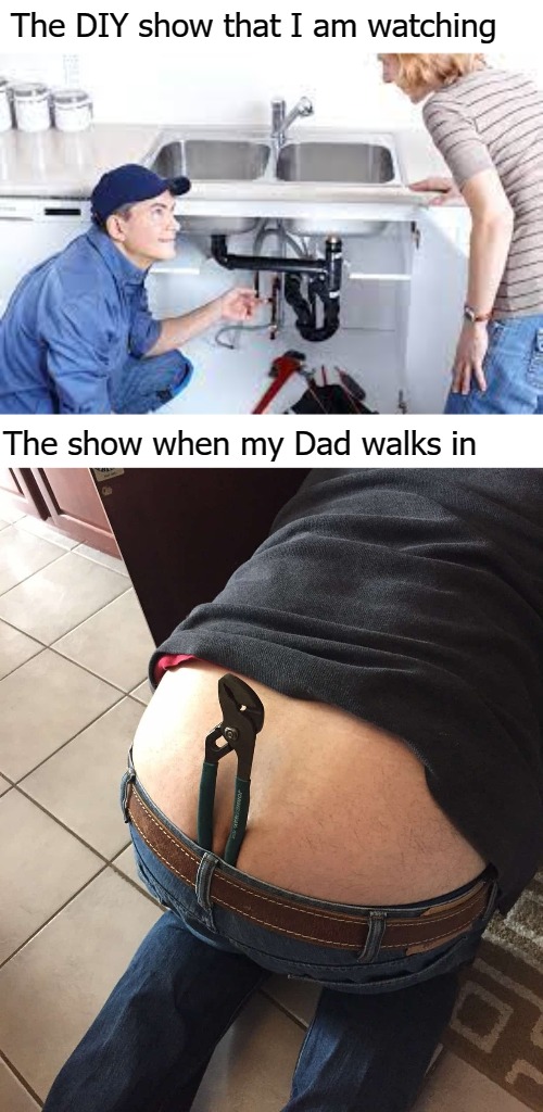 The DIY show that I am watching; The show when my Dad walks in | image tagged in puss | made w/ Imgflip meme maker