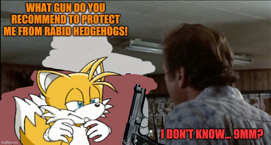 Terminator - gun store - flower shop | WHAT GUN DO YOU RECOMMEND TO PROTECT ME FROM RABID HEDGEHOGS! I DON'T KNOW... 9MM? | image tagged in terminator - gun store - flower shop | made w/ Imgflip meme maker