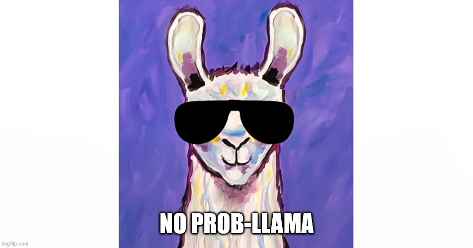 No Prob-llama | NO PROB-LLAMA | image tagged in llama,sunglasses,no prob-llama | made w/ Imgflip meme maker