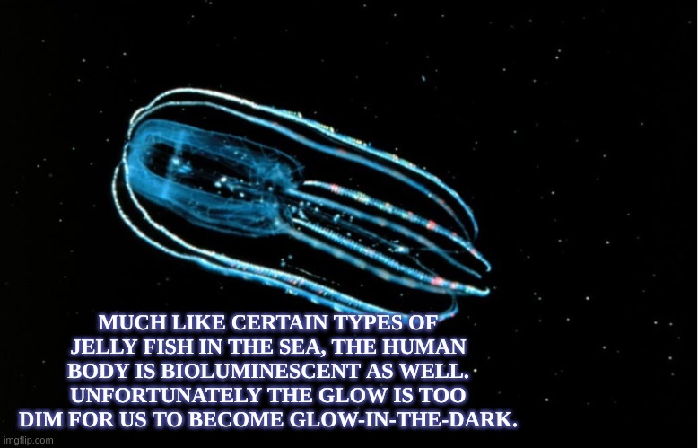Humans are made of LIGHT | MUCH LIKE CERTAIN TYPES OF JELLY FISH IN THE SEA, THE HUMAN BODY IS BIOLUMINESCENT AS WELL. UNFORTUNATELY THE GLOW IS TOO DIM FOR US TO BECOME GLOW-IN-THE-DARK. | image tagged in wow,think,we,glow | made w/ Imgflip meme maker