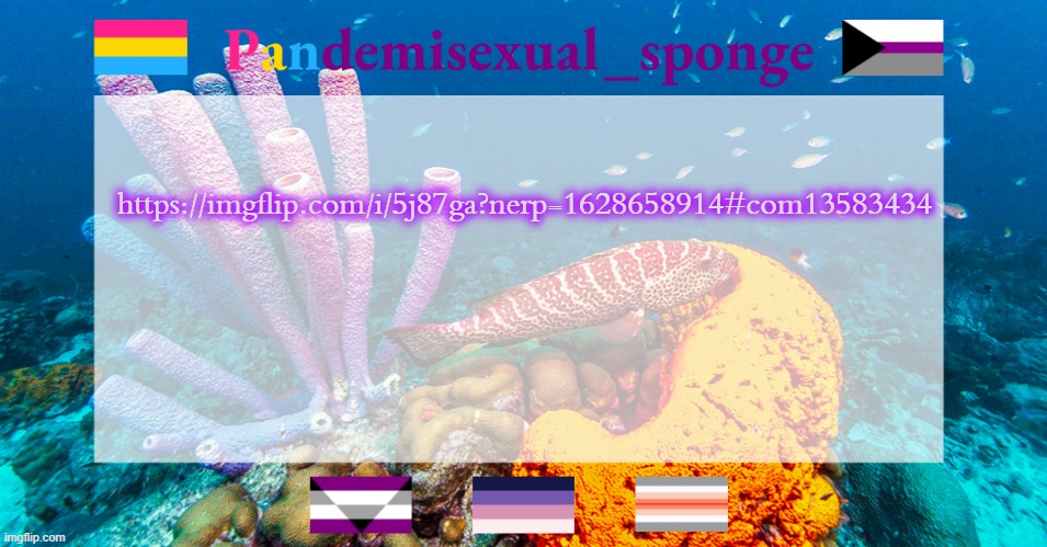 S a u c y b a k a | https://imgflip.com/i/5j87ga?nerp=1628658914#com13583434 | image tagged in pandemisexual_sponge temp,demisexual_sponge | made w/ Imgflip meme maker