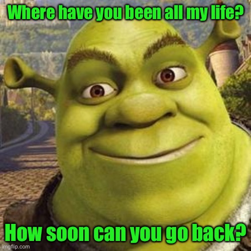 Two questions for you | Where have you been all my life? How soon can you go back? | image tagged in shrek,dislike | made w/ Imgflip meme maker