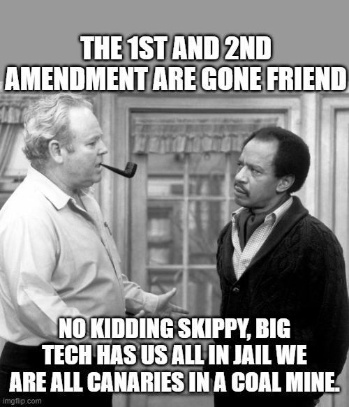 Freedom | THE 1ST AND 2ND AMENDMENT ARE GONE FRIEND; NO KIDDING SKIPPY, BIG TECH HAS US ALL IN JAIL WE ARE ALL CANARIES IN A COAL MINE. | image tagged in free speech is so 70's,political meme,politics,1st amendment,2nd amendment,religious freedom | made w/ Imgflip meme maker