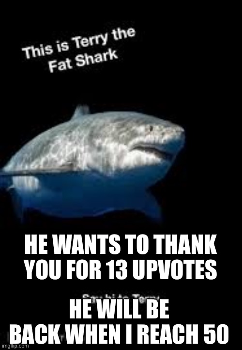 Thanks | HE WANTS TO THANK YOU FOR 13 UPVOTES; HE WILL BE BACK WHEN I REACH 50 | image tagged in terry the fat shark | made w/ Imgflip meme maker