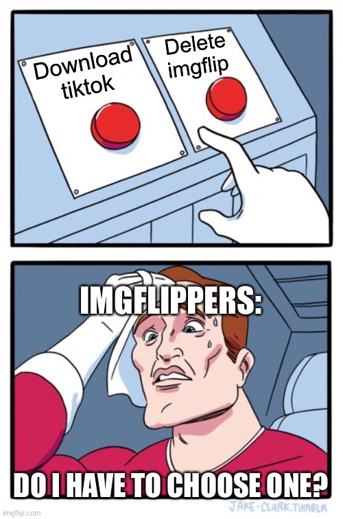 Choose one please | Delete imgflip; Download tiktok; IMGFLIPPERS:; DO I HAVE TO CHOOSE ONE? | image tagged in memes,two buttons,choose wisely | made w/ Imgflip meme maker