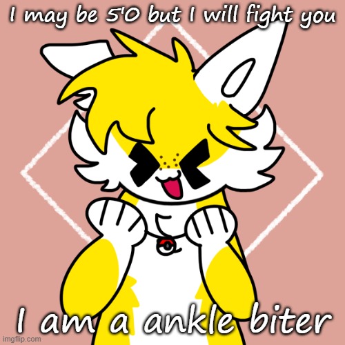 I may be 5'0 but I will fight you; I am a ankle biter | made w/ Imgflip meme maker