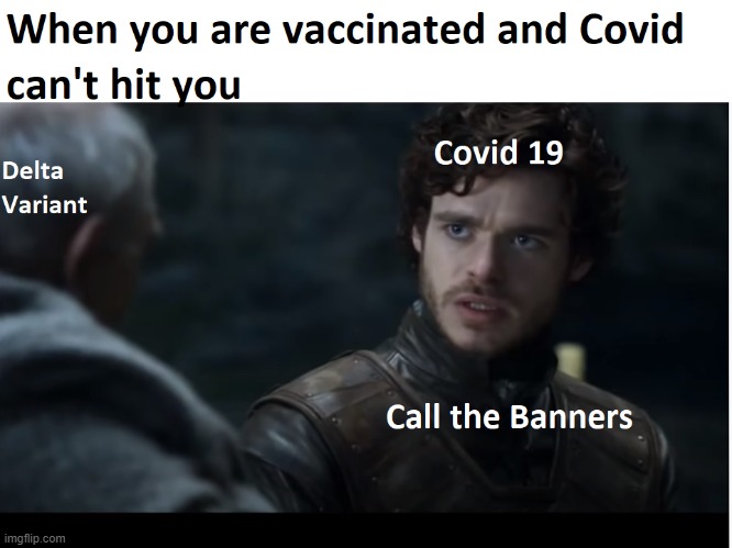 Call the Banners | image tagged in funny,memes,funny memes,jokes,coronavirus,corona virus | made w/ Imgflip meme maker