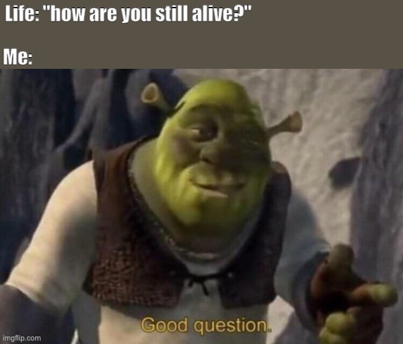 Good question | Me:; Life: "how are you still alive?" | image tagged in shrek good question | made w/ Imgflip meme maker