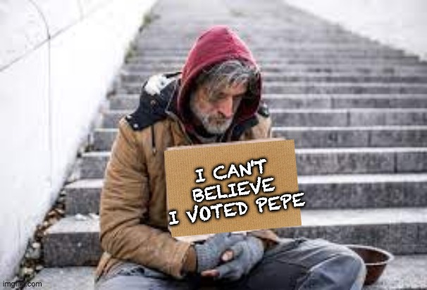 Promise a bright future. Vote for the RUP on the 29th of August! Make the right choice. | I CAN'T BELIEVE I VOTED PEPE | image tagged in tag | made w/ Imgflip meme maker