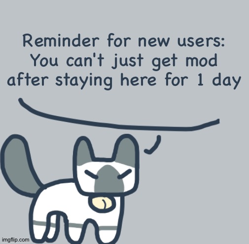 Cat | Reminder for new users:
You can't just get mod after staying here for 1 day | image tagged in cat | made w/ Imgflip meme maker