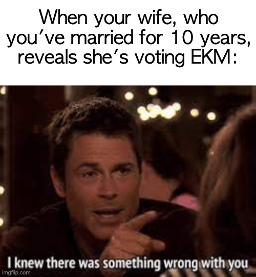 Fairness is something we guarantee, vote for the RUP! | When your wife, who you've married for 10 years, reveals she's voting EKM: | image tagged in noice | made w/ Imgflip meme maker