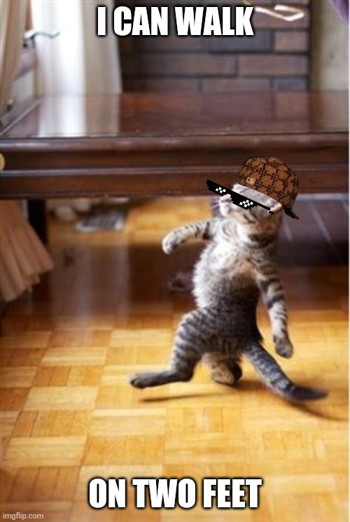 Walking Cat | I CAN WALK ON TWO FEET | image tagged in walking cat | made w/ Imgflip meme maker