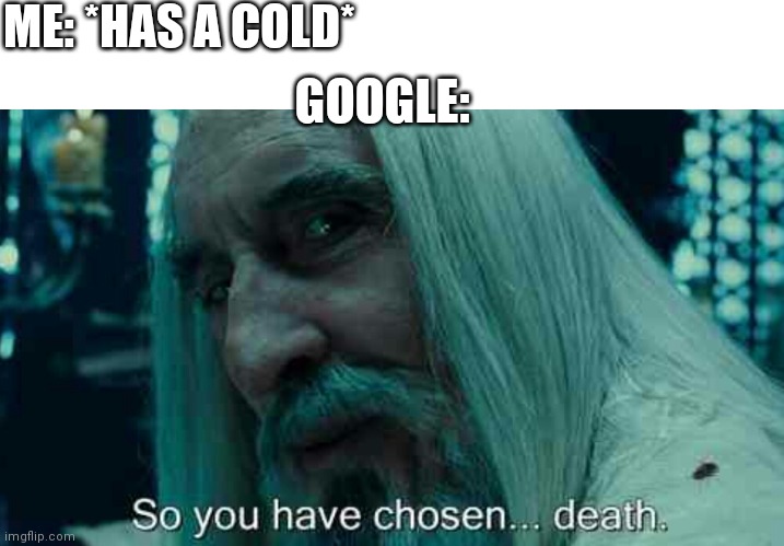 Got a cold? You have 3 seconds to live bai. | ME: *HAS A COLD*; GOOGLE: | image tagged in so you have chosen death | made w/ Imgflip meme maker