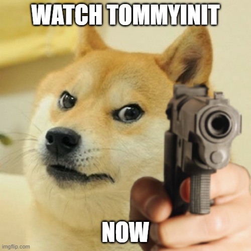 Tommy | WATCH TOMMYINIT; NOW | image tagged in doge holding a gun,meme,tommyinnit | made w/ Imgflip meme maker