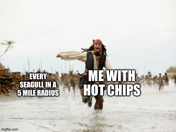 Every seagull in the area | EVERY SEAGULL IN A 5 MILE RADIUS; ME WITH HOT CHIPS | image tagged in memes,jack sparrow being chased | made w/ Imgflip meme maker