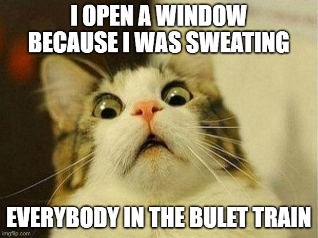 Scared Cat Meme | I OPEN A WINDOW BECAUSE I WAS SWEATING; EVERYBODY IN THE BULET TRAIN | image tagged in memes,scared cat | made w/ Imgflip meme maker