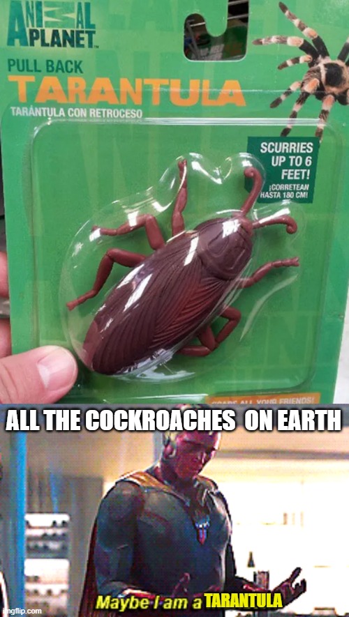 ALL THE COCKROACHES  ON EARTH; TARANTULA | image tagged in maybe i am a monster,dank memes,memes | made w/ Imgflip meme maker