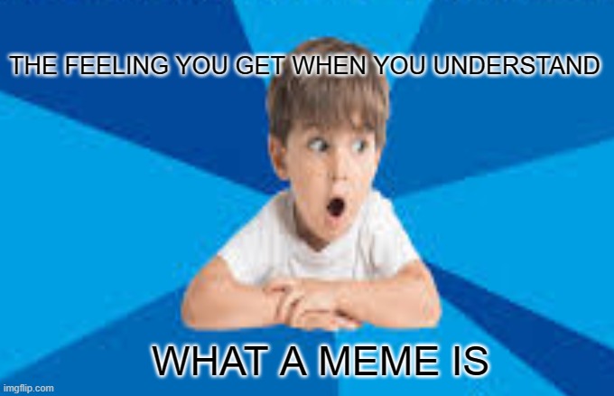 WHY | THE FEELING YOU GET WHEN YOU UNDERSTAND; WHAT A MEME IS | image tagged in why | made w/ Imgflip meme maker