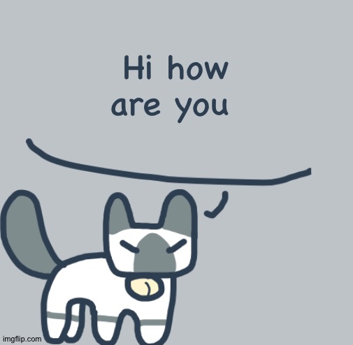 Cat | Hi how are you | image tagged in cat | made w/ Imgflip meme maker