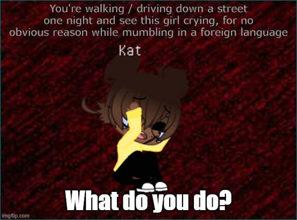 Running out of ideas, so here you are :) Might finally introduce more ocs after this | You're walking / driving down a street one night and see this girl crying, for no obvious reason while mumbling in a foreign language; What do you do? | made w/ Imgflip meme maker