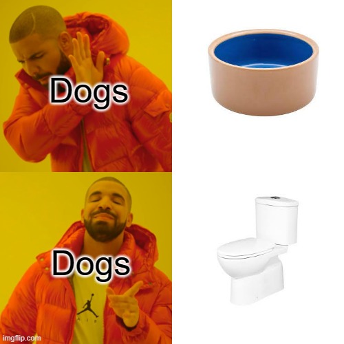 *Big slurp* Delicious! | Dogs; Dogs | image tagged in memes,drake hotline bling | made w/ Imgflip meme maker