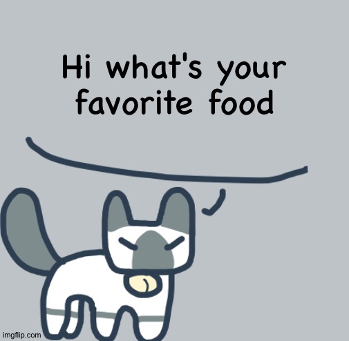 Cat | Hi what's your favorite food | image tagged in cat | made w/ Imgflip meme maker