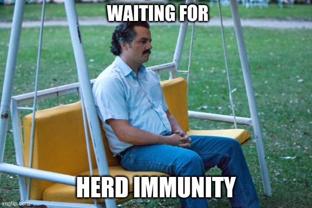 herd immunity | WAITING FOR; HERD IMMUNITY | image tagged in pablo escobar waiting alone | made w/ Imgflip meme maker