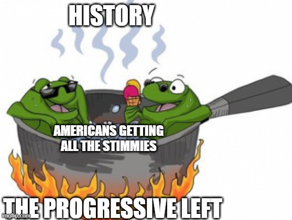 FROG IN BOILING WATER | HISTORY; AMERICANS GETTING ALL THE STIMMIES; THE PROGRESSIVE LEFT | image tagged in woke,left,progressive,democrats,history | made w/ Imgflip meme maker