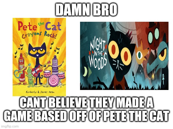 Can you believe this shit | DAMN BRO; CANT BELIEVE THEY MADE A GAME BASED OFF OF PETE THE CAT | image tagged in certified bruh moment | made w/ Imgflip meme maker