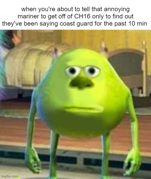 Mike wasowski sully face swap | when you're about to tell that annoying mariner to get off of CH16 only to find out they've been saying coast guard for the past 10 min | image tagged in mike wasowski sully face swap | made w/ Imgflip meme maker