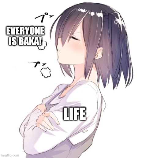 Hmphy | EVERYONE IS BAKA! LIFE | image tagged in hmphy | made w/ Imgflip meme maker