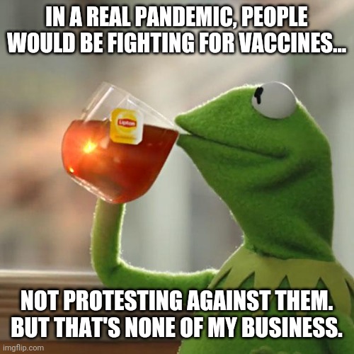 A real pandemic doesn't need 24/7 advertising that you're in one either. | IN A REAL PANDEMIC, PEOPLE WOULD BE FIGHTING FOR VACCINES... NOT PROTESTING AGAINST THEM. BUT THAT'S NONE OF MY BUSINESS. | image tagged in memes | made w/ Imgflip meme maker