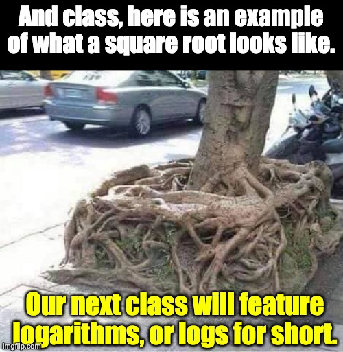 Math can be fun! | And class, here is an example of what a square root looks like. Our next class will feature logarithms, or logs for short. | image tagged in bad pun | made w/ Imgflip meme maker