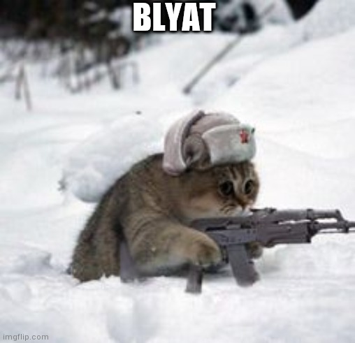 russian cat | BLYAT | image tagged in russian cat | made w/ Imgflip meme maker
