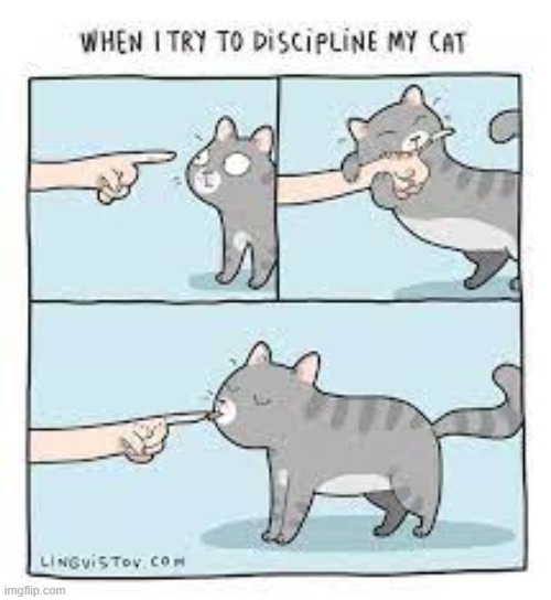 A Cat's Way Of Thinking | image tagged in memes,comics,cats,discipline,love,kisses | made w/ Imgflip meme maker