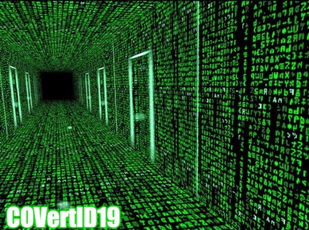 Let's see the triggers | COVertID19 | image tagged in matrix hallway code,covid-19,identify,hide and seek,consent | made w/ Imgflip meme maker