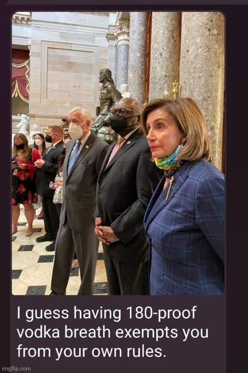 It's funny cause it's true. | image tagged in nancy pelosi,face mask,alcoholic,alcoholism,democrats,hypocrisy | made w/ Imgflip meme maker
