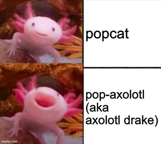 popcat pop-axolotl (aka axolotl drake) | image tagged in axolotl drake | made w/ Imgflip meme maker