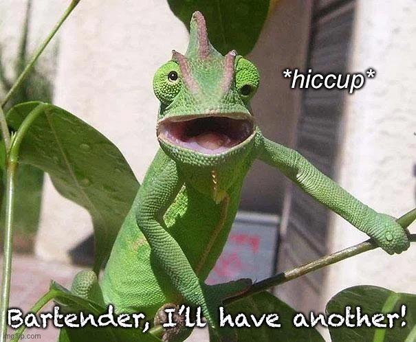*hiccup* Bartender, I’ll have another! | made w/ Imgflip meme maker