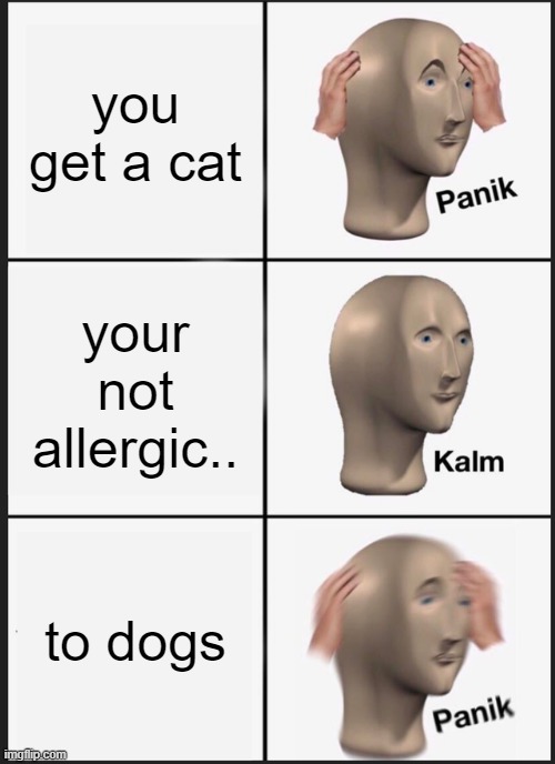 ehhhAHHHHHHHHH |  you get a cat; your not allergic.. to dogs | image tagged in memes,panik kalm panik | made w/ Imgflip meme maker