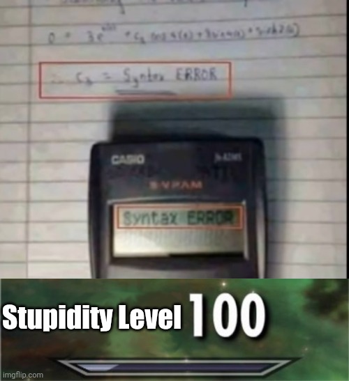 Stupidity Level 100 | Stupidity Level | image tagged in level 100 | made w/ Imgflip meme maker