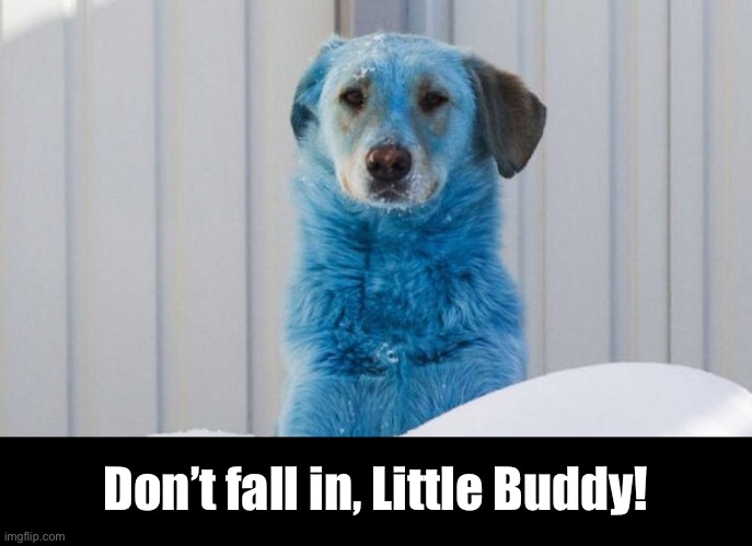 Don’t fall in, Little Buddy! | made w/ Imgflip meme maker