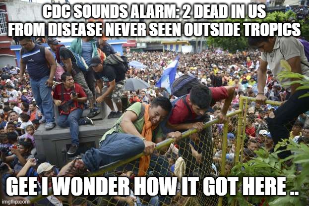 DISEASE | CDC SOUNDS ALARM: 2 DEAD IN US FROM DISEASE NEVER SEEN OUTSIDE TROPICS; GEE I WONDER HOW IT GOT HERE .. | image tagged in build the wall | made w/ Imgflip meme maker