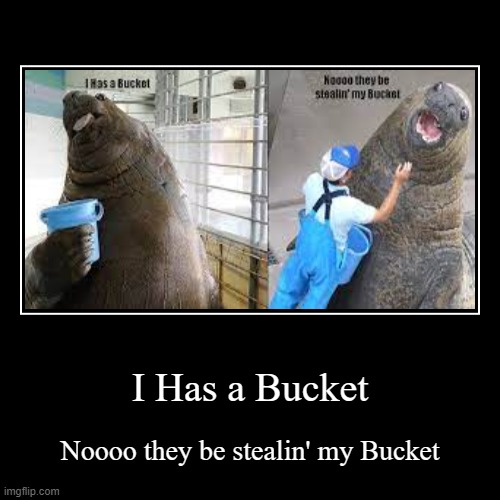 image tagged in funny,demotivationals,seal,bad grammar and spelling memes,reposts,repost | made w/ Imgflip demotivational maker