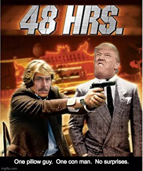 It is what it is. | One pillow guy.  One con man.  No surprises. | image tagged in memes,48 hours,trump,lindell,reinstatement | made w/ Imgflip meme maker