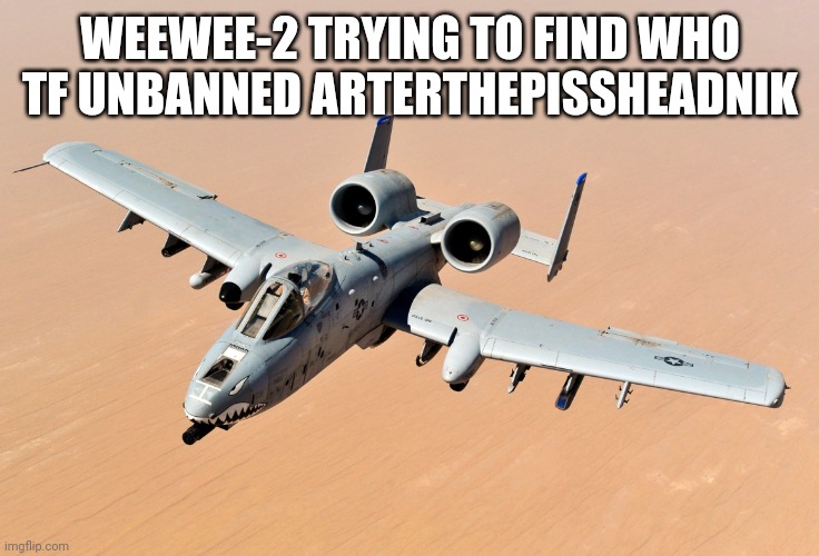 weewee-2 | WEEWEE-2 TRYING TO FIND WHO TF UNBANNED ARTERTHEPISSHEADNIK | image tagged in weewee-2 | made w/ Imgflip meme maker