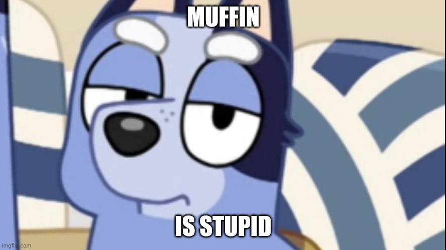 MUFFIN; IS STUPID | image tagged in bluey | made w/ Imgflip meme maker