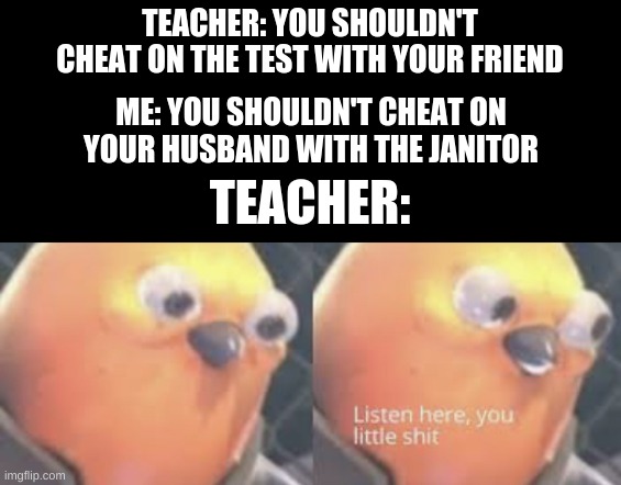 Listen here you little shit bird | TEACHER: YOU SHOULDN'T CHEAT ON THE TEST WITH YOUR FRIEND; ME: YOU SHOULDN'T CHEAT ON YOUR HUSBAND WITH THE JANITOR; TEACHER: | image tagged in listen here you little shit bird | made w/ Imgflip meme maker